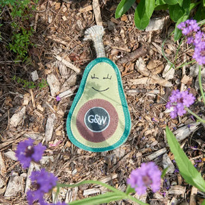 Audrey the Avocado, Eco Toy