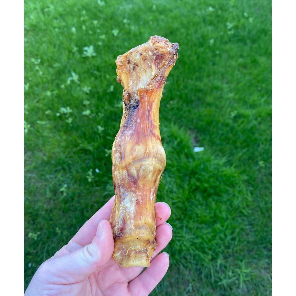Ostrich Foot Large - Dog Treats