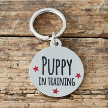 Load image into Gallery viewer, PUPPY IN TRAINING PUPPY ID NAME TAG

