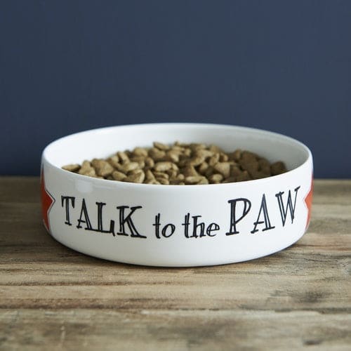 TALK TO THE PAW- DOG AND CAT BOWL